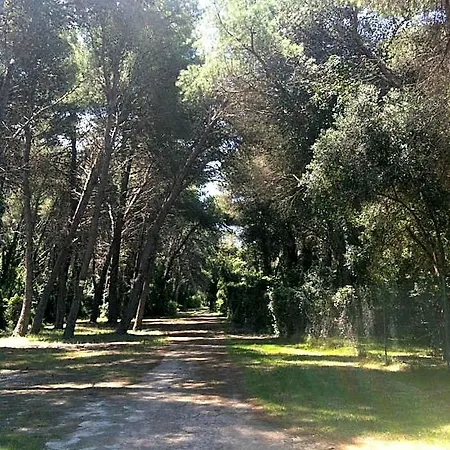 Serra Alimini 1 Otrante