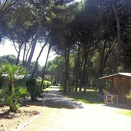 Apartahotel Serra Alimini 1
